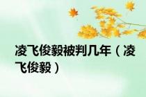 凌飞俊毅被判几年（凌飞俊毅）