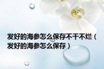 发好的海参怎么保存不干不烂（发好的海参怎么保存）