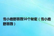 雪小路野蔷薇50个秘密（雪小路野蔷薇）