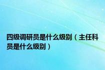 四级调研员是什么级别（主任科员是什么级别）