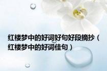 红楼梦中的好词好句好段摘抄（红楼梦中的好词佳句）