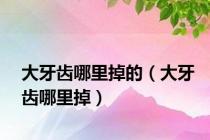 大牙齿哪里掉的（大牙齿哪里掉）