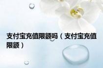 支付宝充值限额吗（支付宝充值限额）
