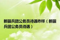 新疆兵团公务员待遇咋样（新疆兵团公务员待遇）