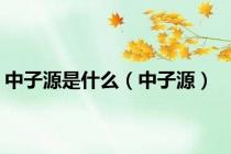 中子源是什么（中子源）