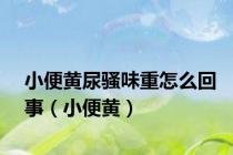 小便黄尿骚味重怎么回事（小便黄）