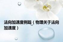 法向加速度例题（物理关于法向加速度）