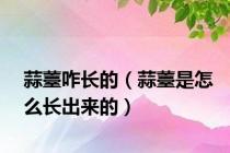 蒜薹咋长的（蒜薹是怎么长出来的）