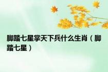 脚踏七星掌天下兵什么生肖（脚踏七星）