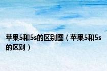 苹果5和5s的区别图（苹果5和5s的区别）