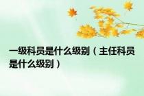 一级科员是什么级别（主任科员是什么级别）