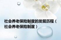 社会养老保险制度的发展历程（社会养老保险制度）