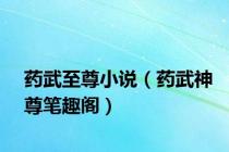 药武至尊小说（药武神尊笔趣阁）