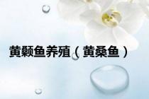 黄颡鱼养殖（黄桑鱼）