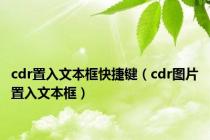 cdr置入文本框快捷键（cdr图片置入文本框）