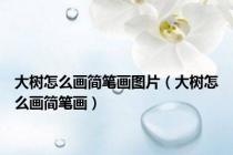 大树怎么画简笔画图片（大树怎么画简笔画）