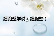 细胞壁学说（细胞壁）