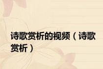 诗歌赏析的视频（诗歌赏析）