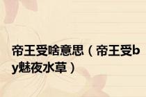 帝王受啥意思（帝王受by魅夜水草）