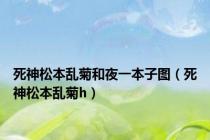死神松本乱菊和夜一本子图（死神松本乱菊h）