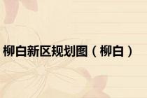 柳白新区规划图（柳白）