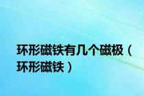 环形磁铁有几个磁极（环形磁铁）