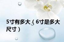 5寸有多大（6寸是多大尺寸）