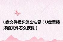 u盘文件损坏怎么恢复（U盘里损坏的文件怎么恢复）