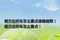 侧方位停车怎么看点准确视频（侧方位停车怎么看点）