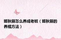 姬秋丽怎么养成老桩（姬秋丽的养殖方法）