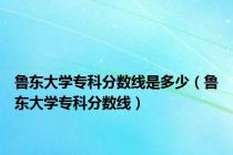 鲁东大学专科分数线是多少（鲁东大学专科分数线）