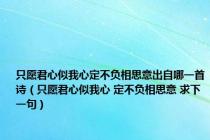 只愿君心似我心定不负相思意出自哪一首诗（只愿君心似我心 定不负相思意 求下一句）