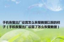 手机恢复出厂设置怎么恢复数据以前的样子（手机恢复出厂设置了怎么恢复数据）