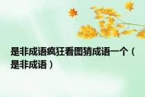 是非成语疯狂看图猜成语一个（是非成语）