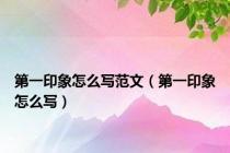 第一印象怎么写范文（第一印象怎么写）