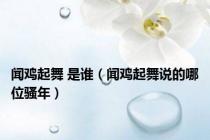 闻鸡起舞 是谁（闻鸡起舞说的哪位骚年）