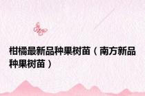 柑橘最新品种果树苗（南方新品种果树苗）