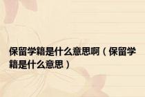 保留学籍是什么意思啊（保留学籍是什么意思）
