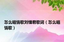 怎么唱情歌刘惜君歌词（怎么唱情歌）