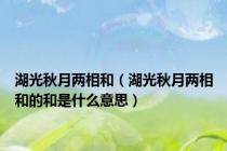 湖光秋月两相和（湖光秋月两相和的和是什么意思）