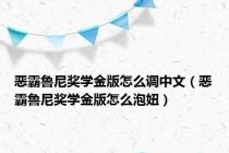 恶霸鲁尼奖学金版怎么调中文（恶霸鲁尼奖学金版怎么泡妞）