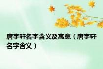 唐宇轩名字含义及寓意（唐宇轩名字含义）