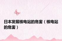 日本发展核电站的危害（核电站的危害）
