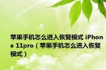 苹果手机怎么进入恢复模式 iPhone 11pro（苹果手机怎么进入恢复模式）