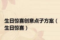 生日惊喜创意点子方案（生日惊喜）