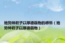 地势坤君子以厚德载物的感悟（地势坤君子以厚德载物）