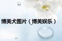 博美犬图片（博美娱乐）