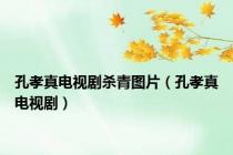 孔孝真电视剧杀青图片（孔孝真电视剧）