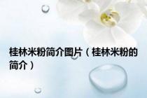 桂林米粉简介图片（桂林米粉的简介）