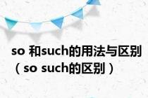 so 和such的用法与区别（so such的区别）